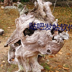 贴(tiē)吧发帖软件
