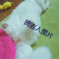 蒟吉人图(圖)片