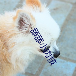 舔(舔)舔小(小)肉核(核)