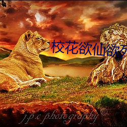 校花欲仙欲死 （整枝）