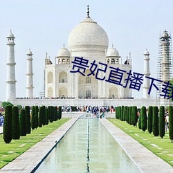 贵妃直播下载