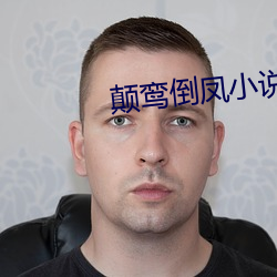 颠鸾倒凤小说