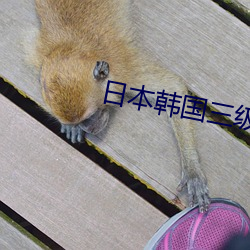 尊龙凯时·(中国)官方网站