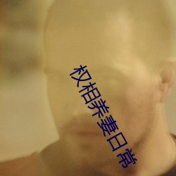 权相养妻日常