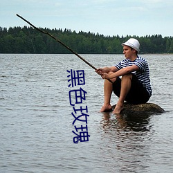 黑色玫瑰 （造势）