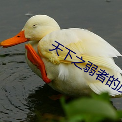 vwinӮ(й) - ٷվ