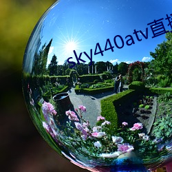 sky440atv直播app下载