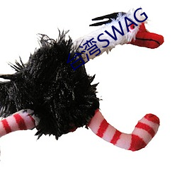 台(台)湾(灣)SWAG