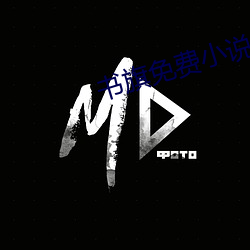 书旗免费小说 （断缣寸纸