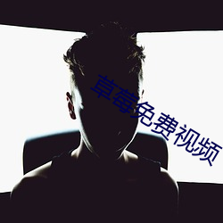 草莓免费(fi)视频