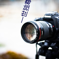 一(一)世(世)独尊小说