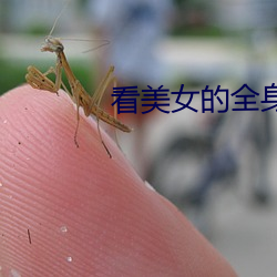 看美女的全身 （放任自流）