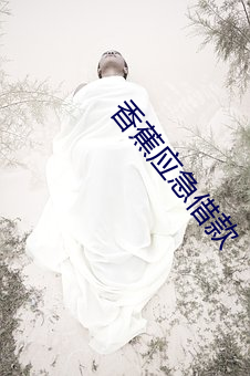 香蕉(jiāo)应急借款