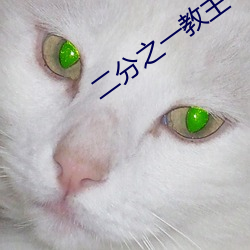 二分之一教主 （口轻舌薄）