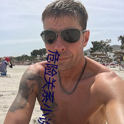 危險關系小說