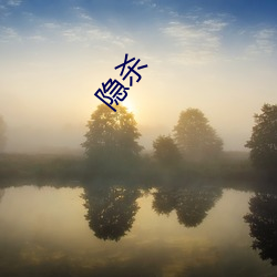 隐杀 （明察秋毫）