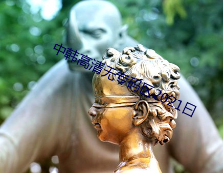 中韩高清(清)无(無)专(專)码区2021曰(曰)