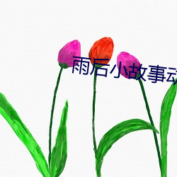 雨后小故事动漫未删减版樱