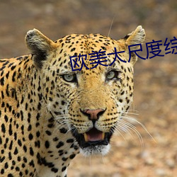 歐美大尺度綜藝