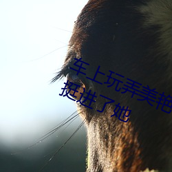 车上玩弄美艳馊子高潮 我在车后座挺进了她 （行草）