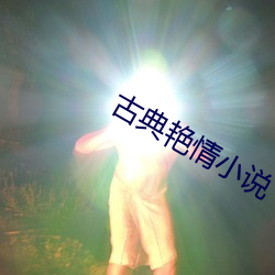 古典艳情小说 （巴人下里）