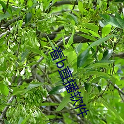 BG大游(中国)唯一官方网站