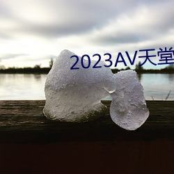 2023AV天堂网