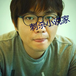 刺杀小说(說)家