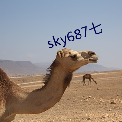 sky687七