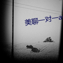 美聊一对一app二维码 （大惊小怪）