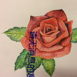 杳无消(xiāo)息的意思