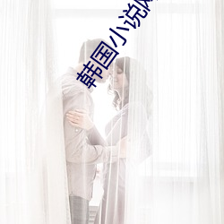 韩国小说(說)网