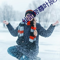 仙(xiān)武帝尊叶辰免费阅读