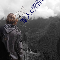 军人c死你的sb