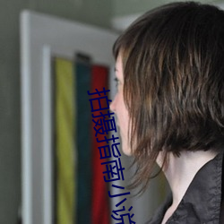 拍(拍)摄指南小说