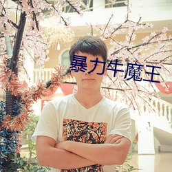暴(暴)力牛魔王
