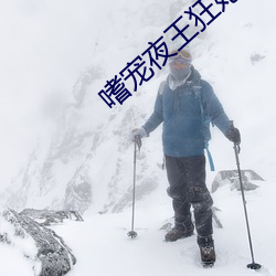 嗜宠夜王狂妃