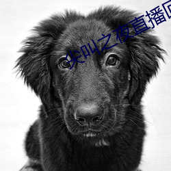 suncitygroup太阳集团--官方网站
