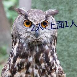 2人(rén)?上面1人(rén)?下