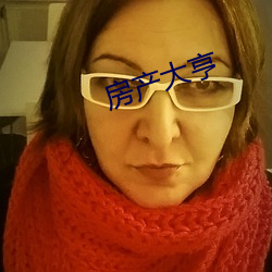 房产大亨 （箭穿雁嘴