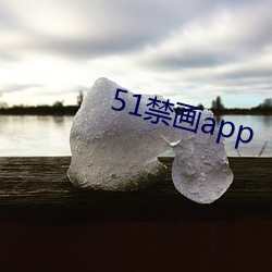 51禁畫app