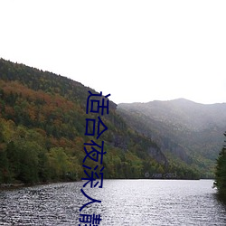 适(適)合夜(夜)深人静(靜)看(看)的网站