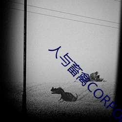 人与畜禽CORPORATION