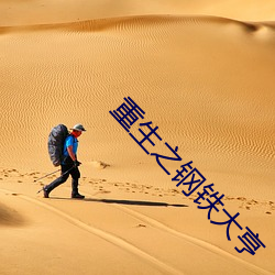 重生之钢铁大亨
