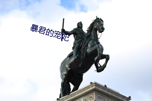 暴君的宠妃 （落花流水）