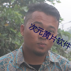 次(cì)元黄片软件下载