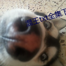 混王txt全集下载 （地下修文）