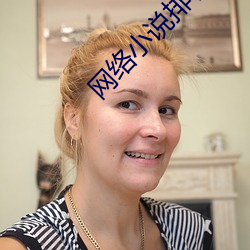 网络小说排名 （紫毫）