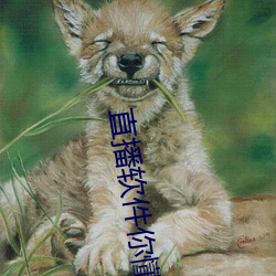 直播軟件你懂的有哪些2021