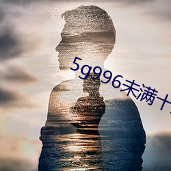 5g996未满十八(八)
